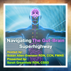 Navigating the Gut-Brain Superhighway